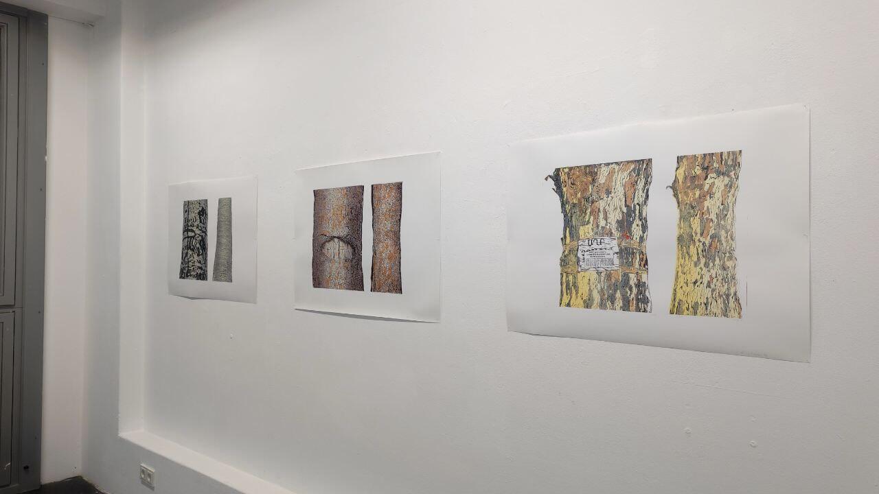 photo_5262541548992269901_y