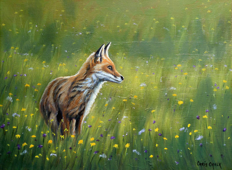 fox-meadow