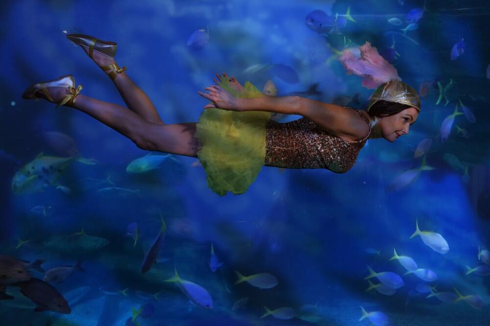 Annette of the South Seas by Lisa Barmby