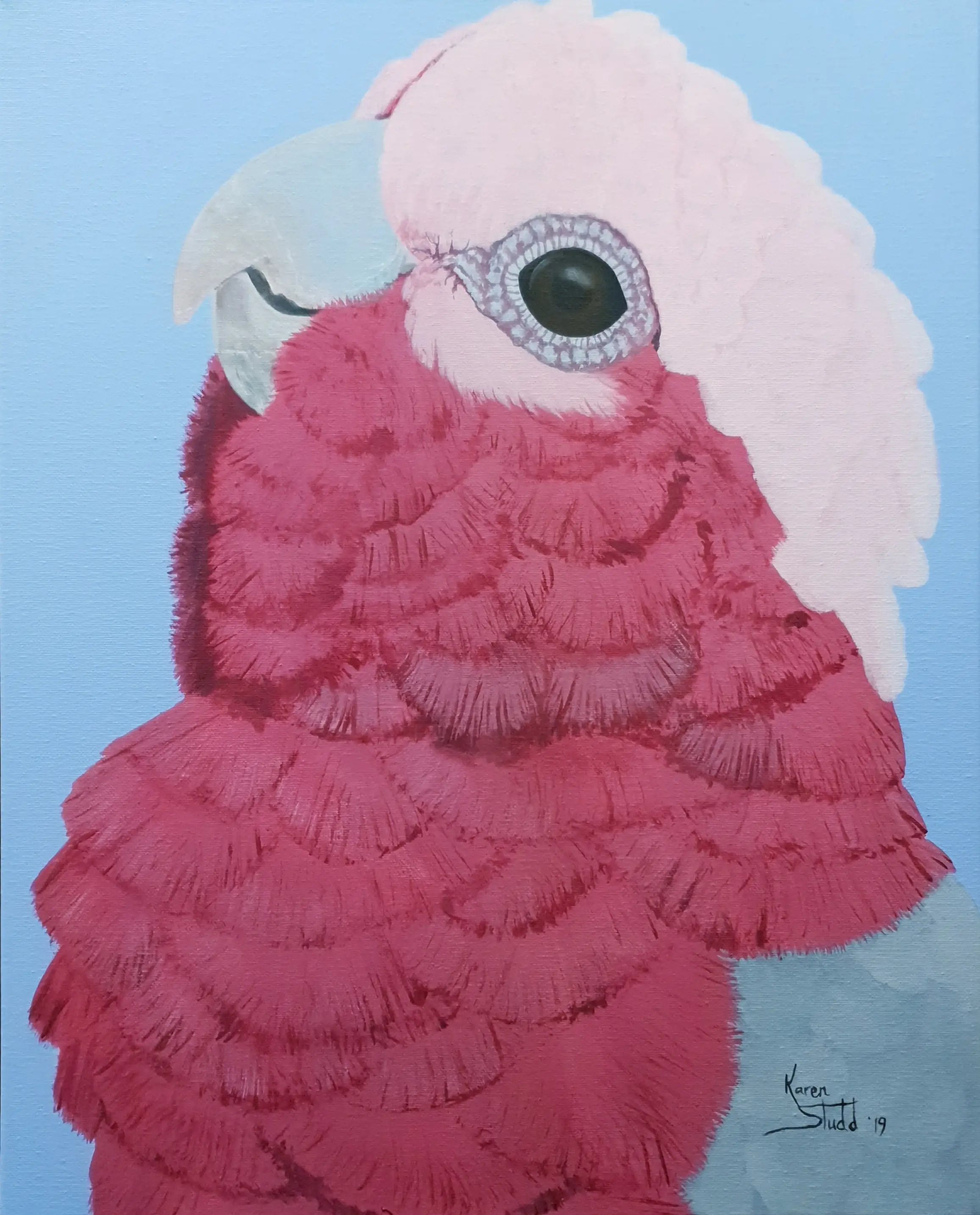 KS578 Galah Performance