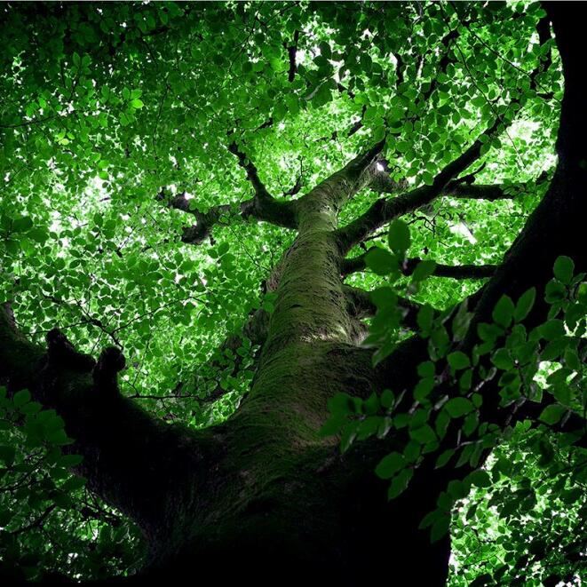 Fellwanderings #3 by Sandra Kontos