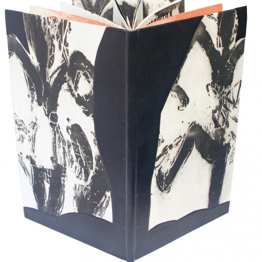 Cover and interior by Never Fixed Mark