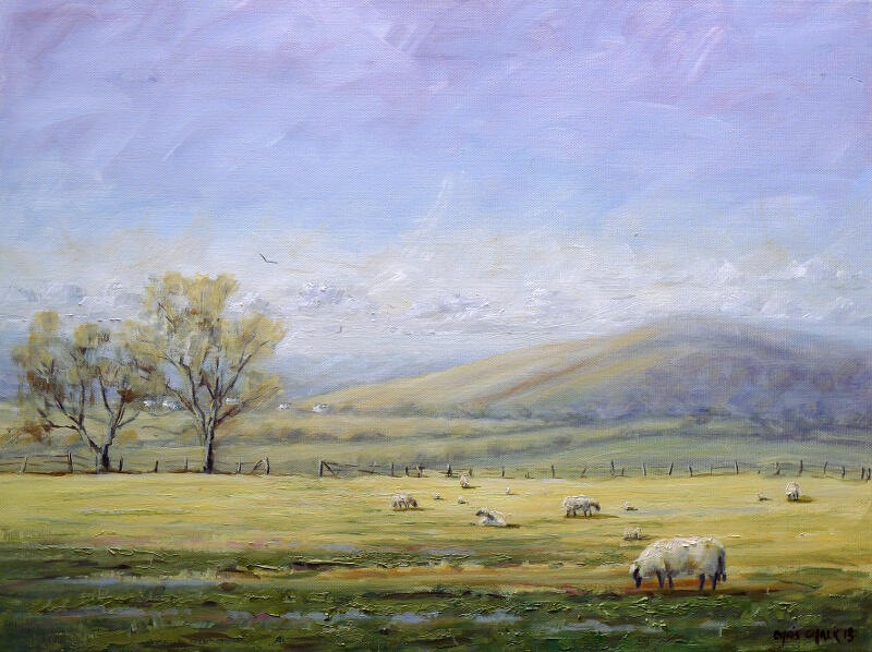 first-lambs-preseli-mountains