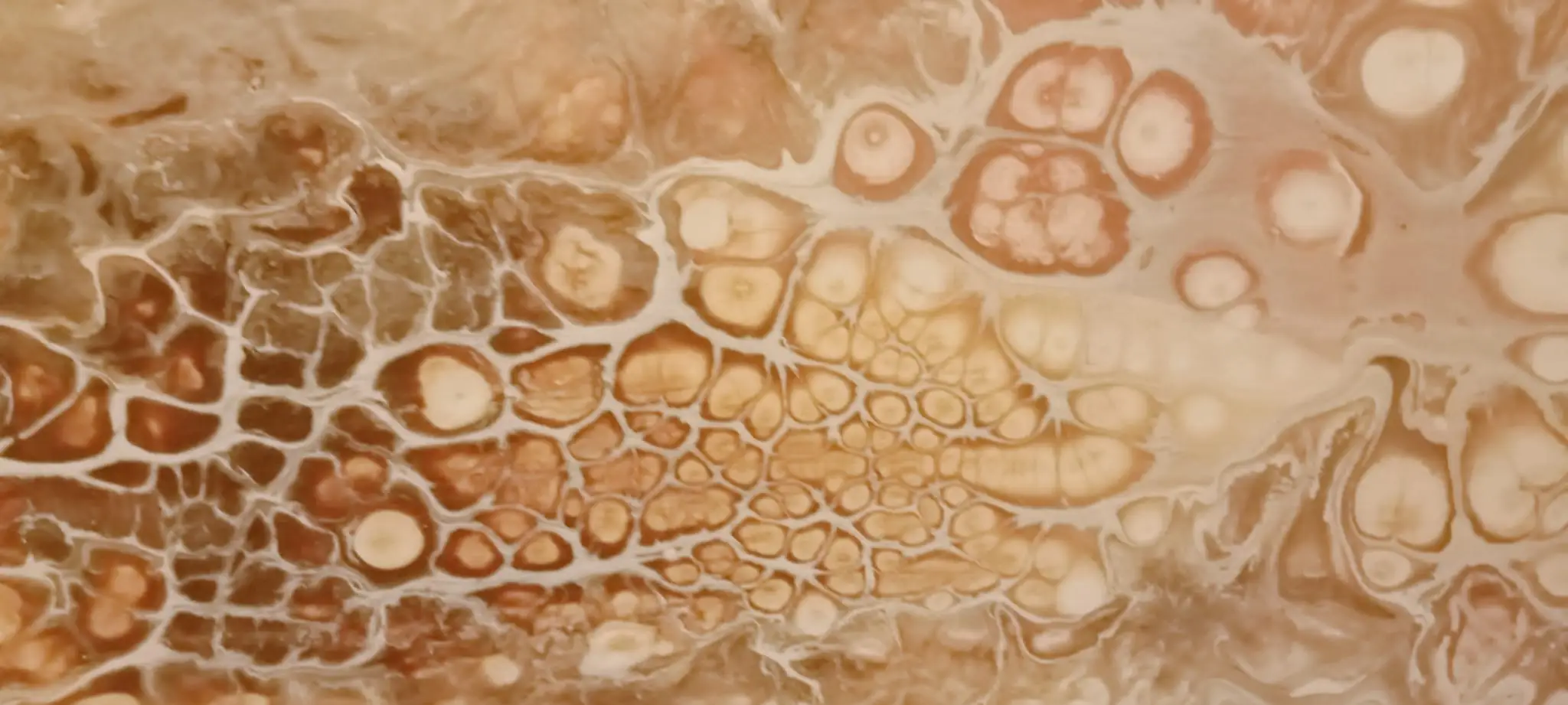 WhatsApp Image 2026-03-03 at 16.57.19 (3)