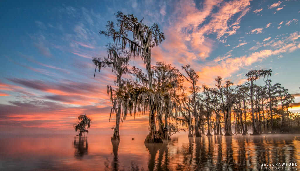 Andy Crawford Photography-Lake Maurepas-20171125-3-logo