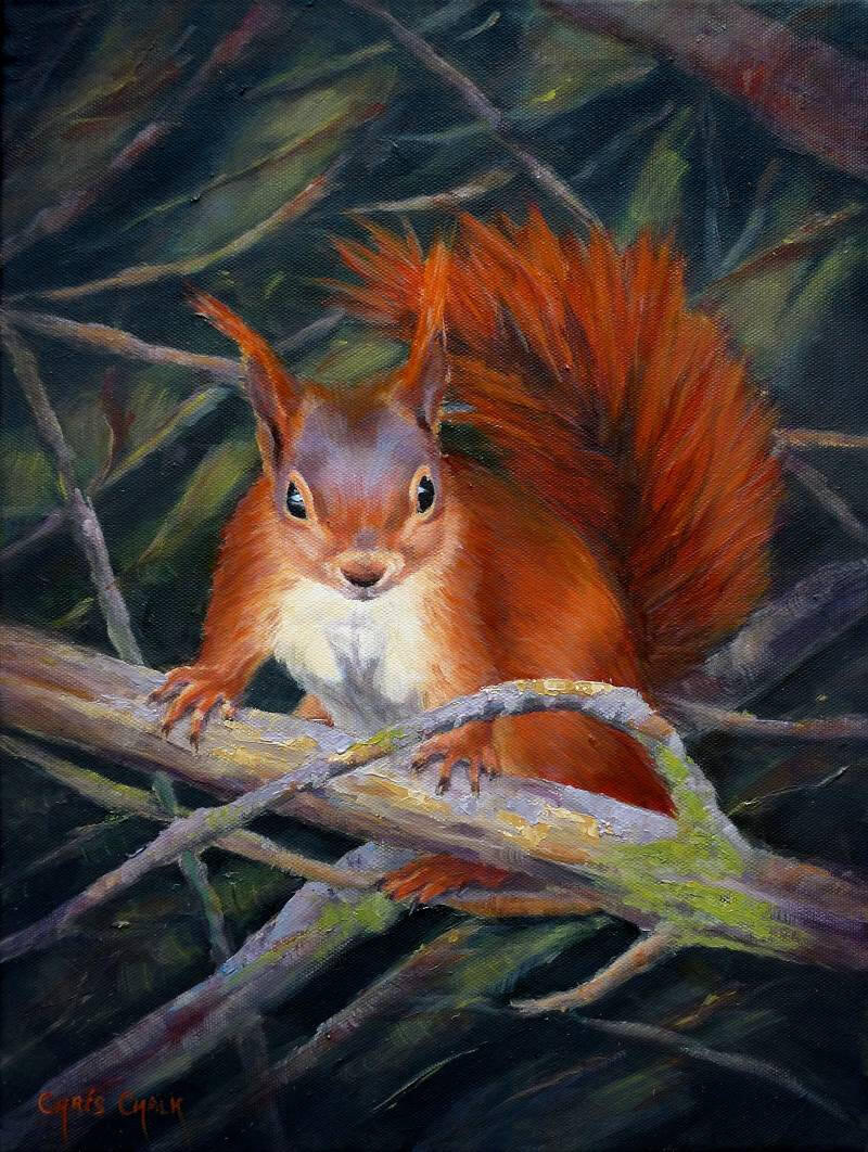 squirrel-nutkin