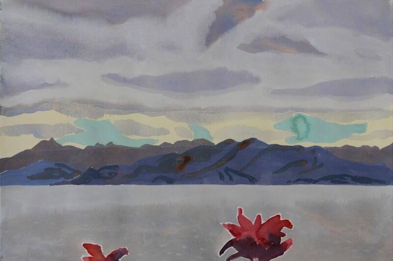 Fiji landscape 3 2018 by Mark Dober