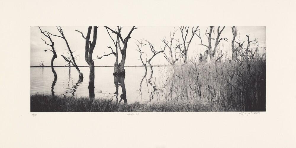 winter-3