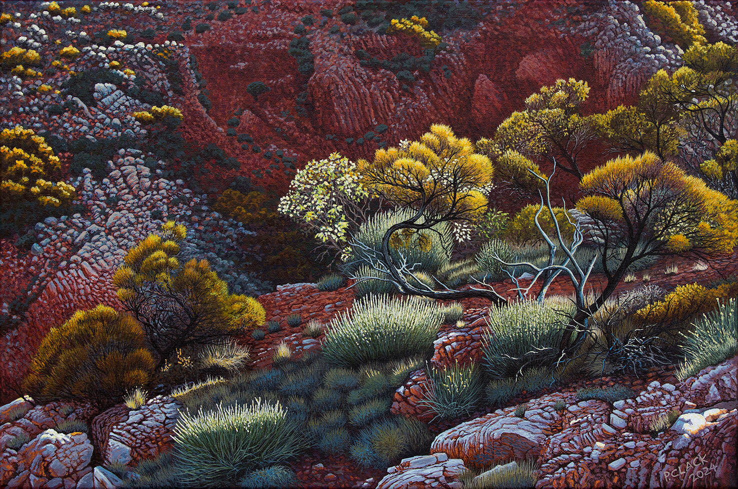 Above the Falls by Pauline Clack