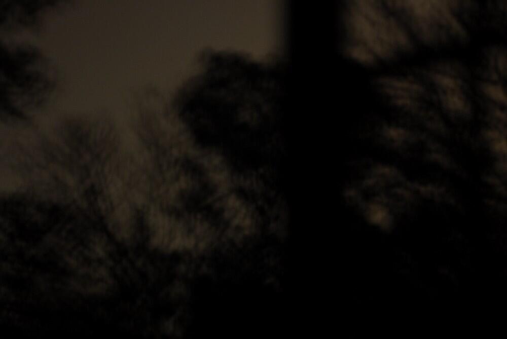 photonet 5 by Anna Sande
