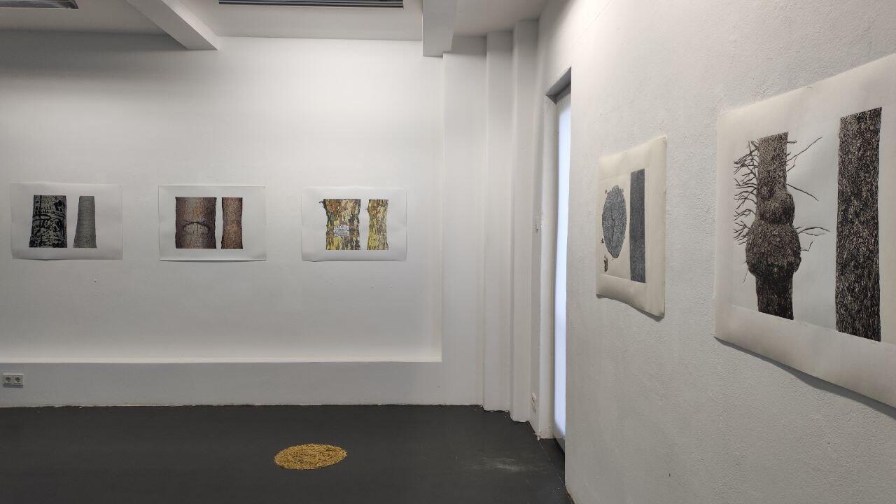 photo_5262541548992269933_y