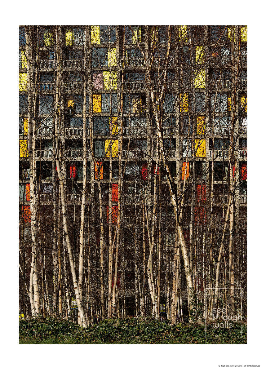 Park Hill Flat Poster