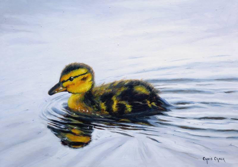 duckling-painting-little-swimmer