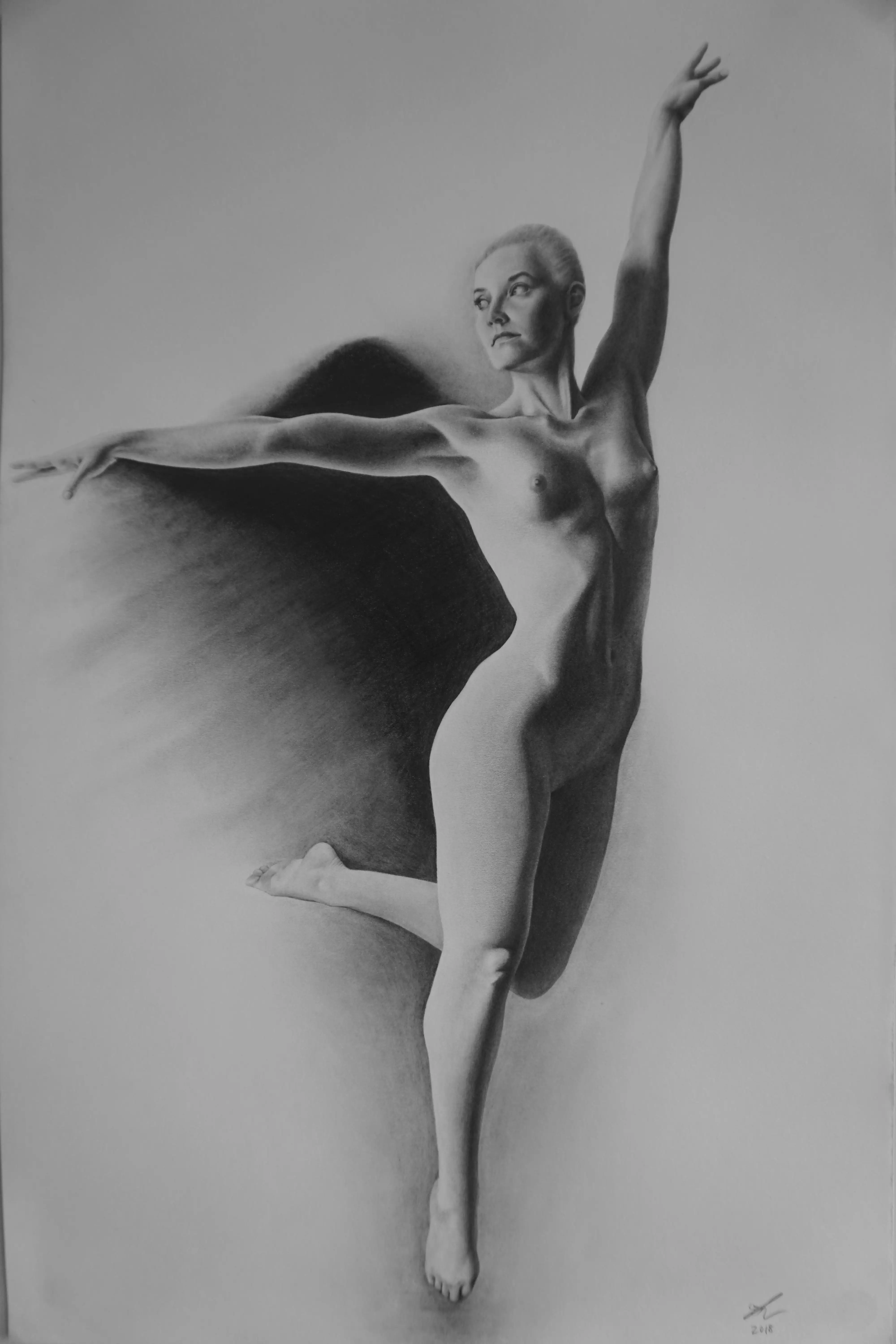 DSC04464
