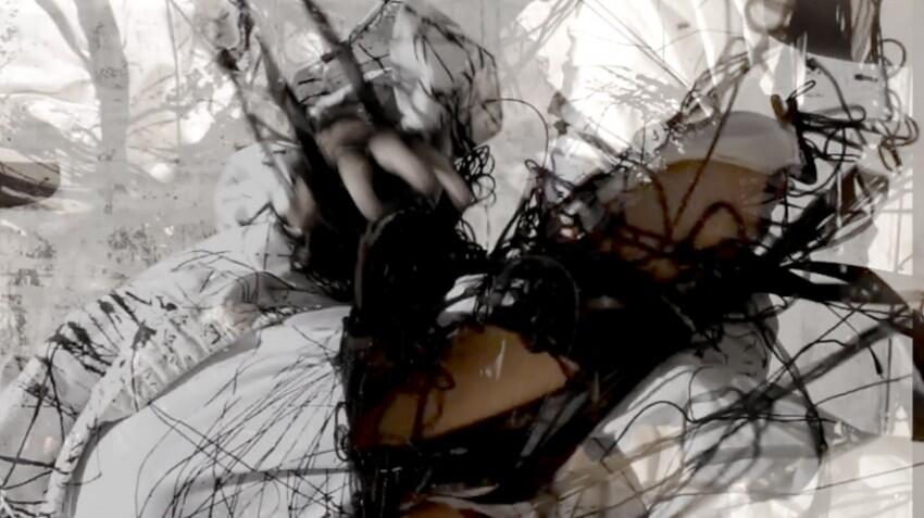 body language_white mov, 2013 by Nicci Haynes