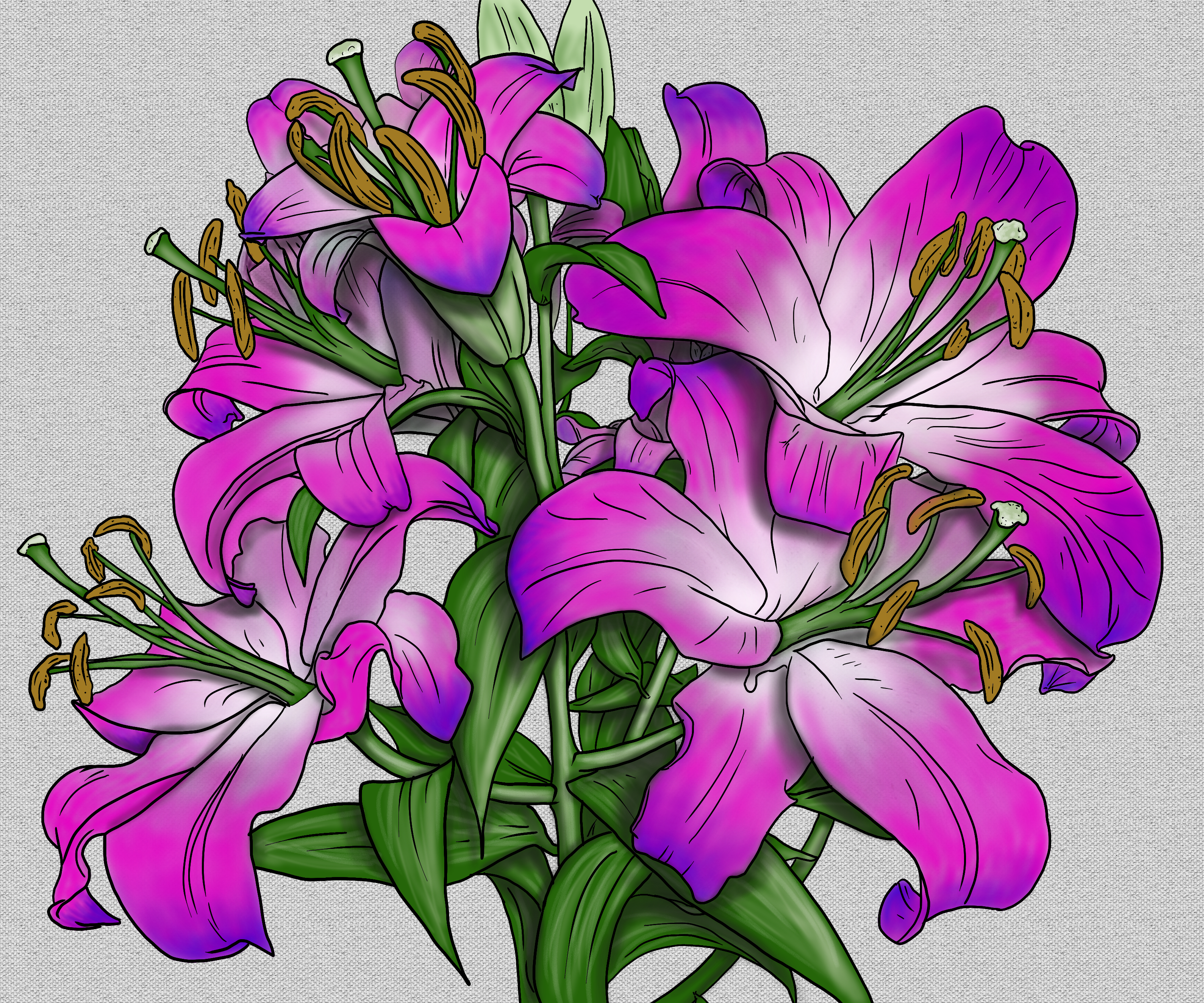 sketch-1562196643177