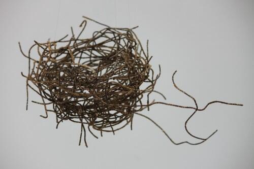 nest by Liz Walker