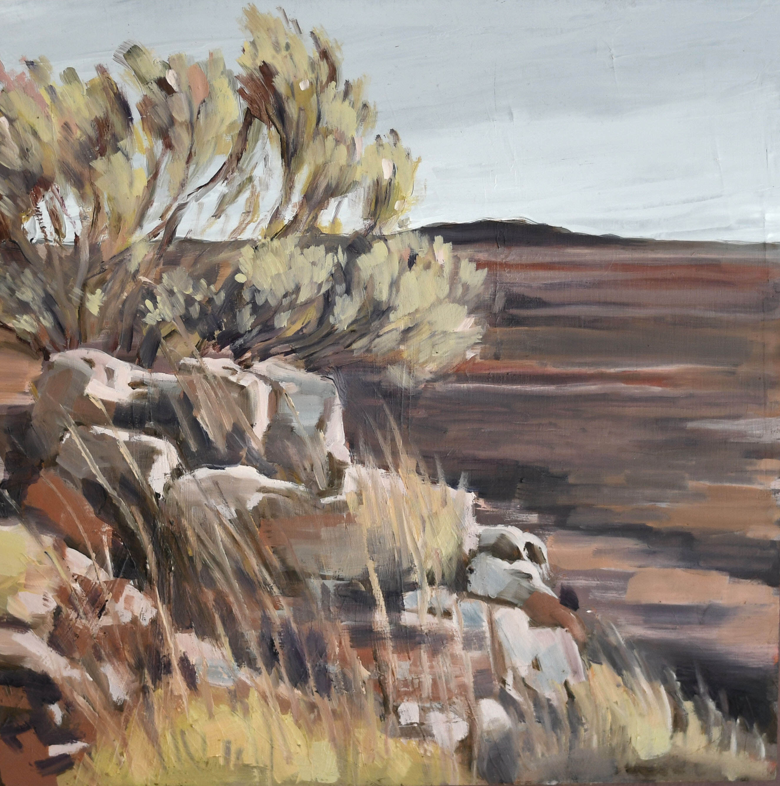 Desert Moods 1