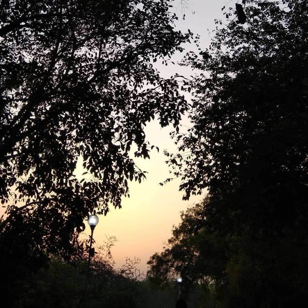 Photo by Leena Joshi (8)