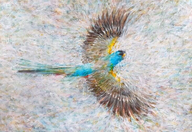 Endangered Species: Golden-shouldered Parrot 2017 by Robert Hollingworth