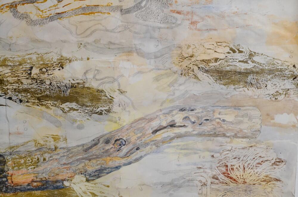 Inscape – Lives of the Whipstick longicorn beetles (detail) by John Wolseley