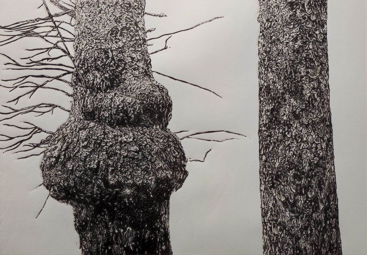 photo_5199828480936771973_y