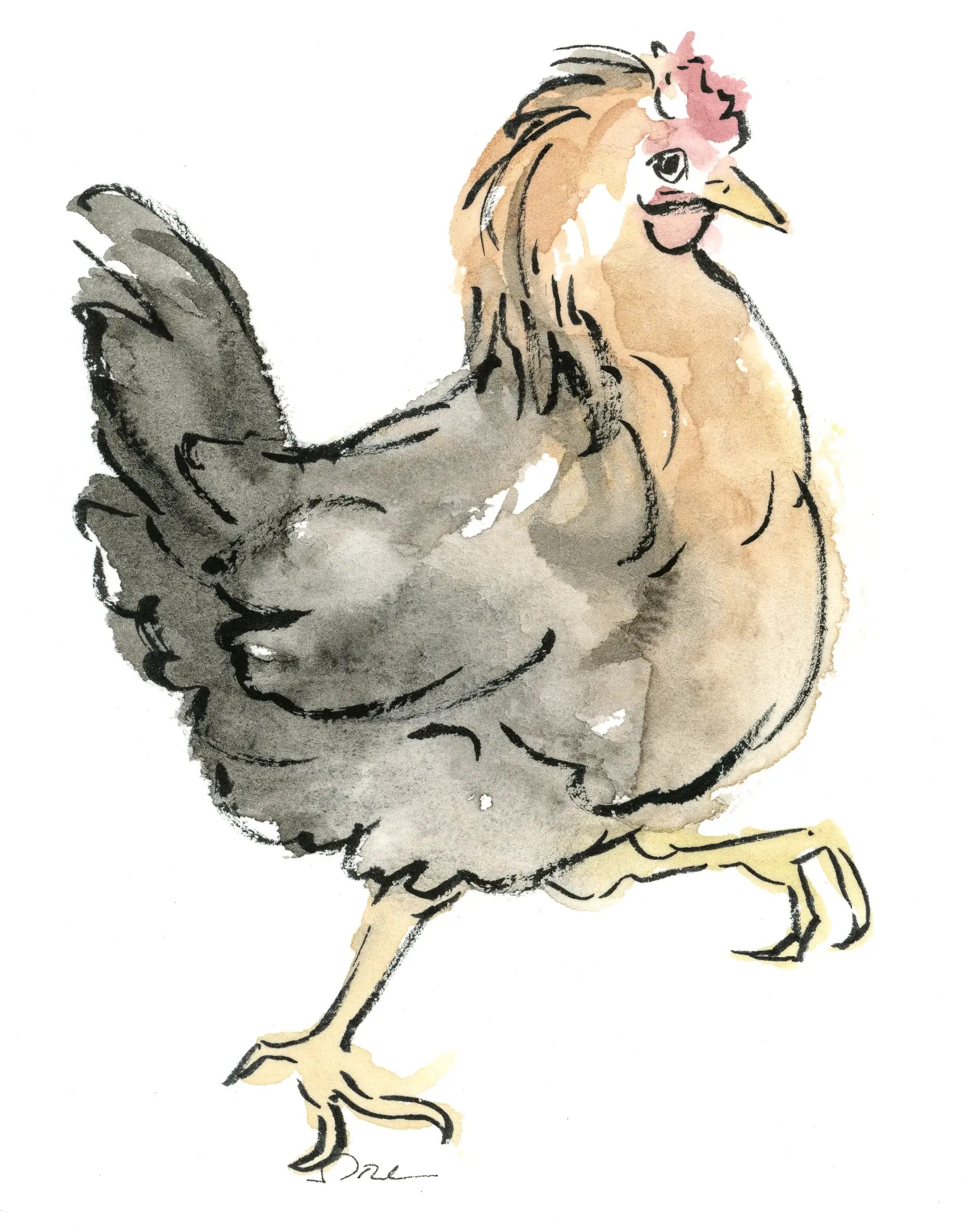 cesar-poule-encyclopedia-13