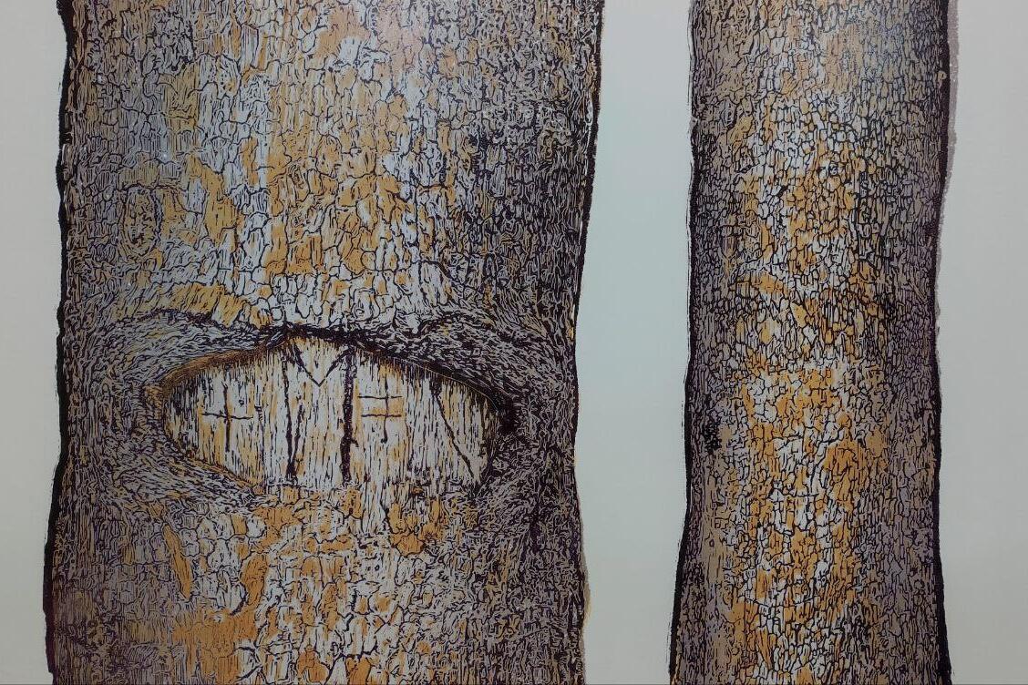 9702ab24-618b-4753-96b9-1984f347e07f