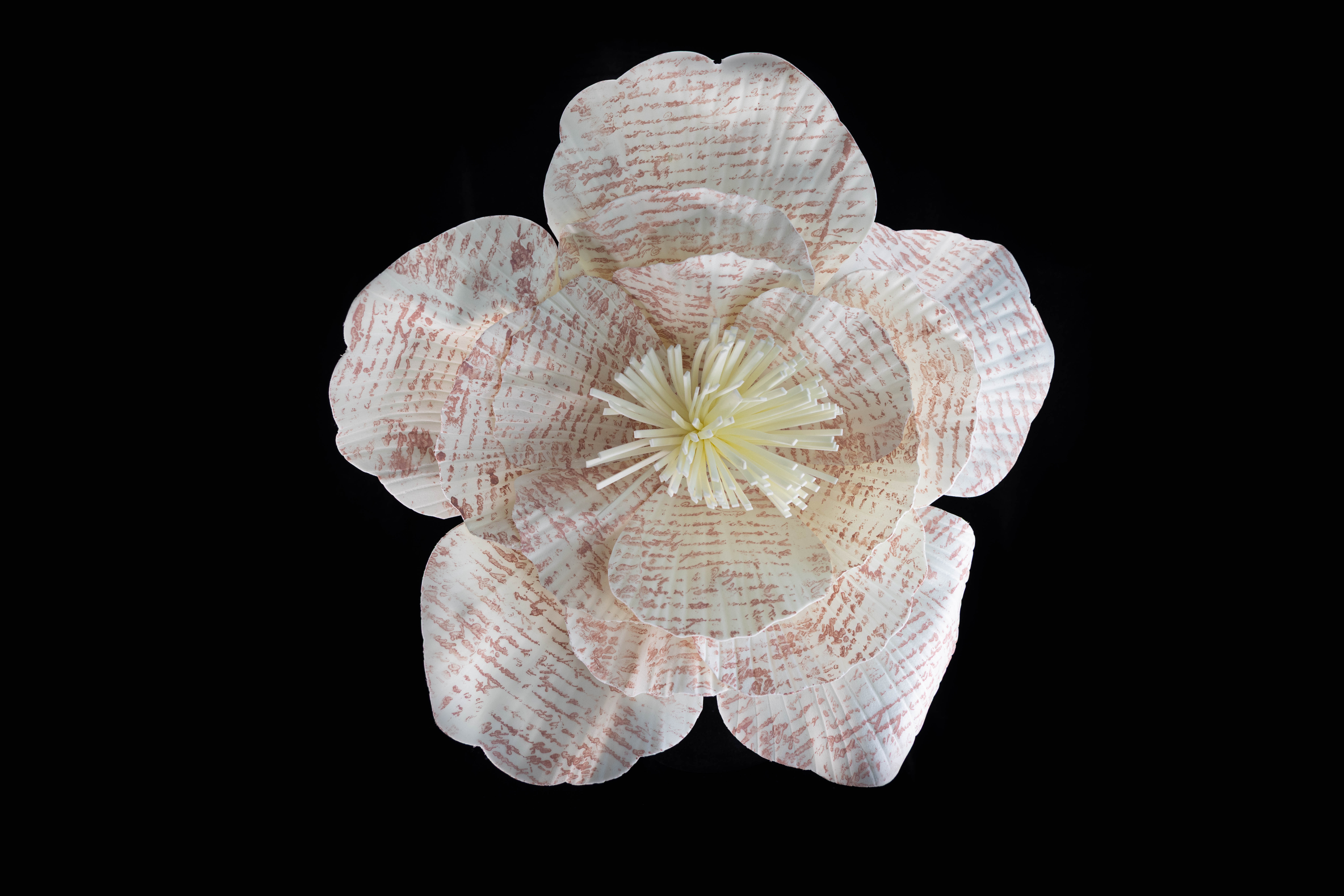 Soleil_Fleur_Sherree_Halliwell_Fascinator_45x45x24cm_$35