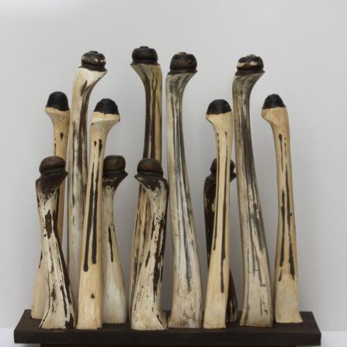 cream-anemones by Liz Walker
