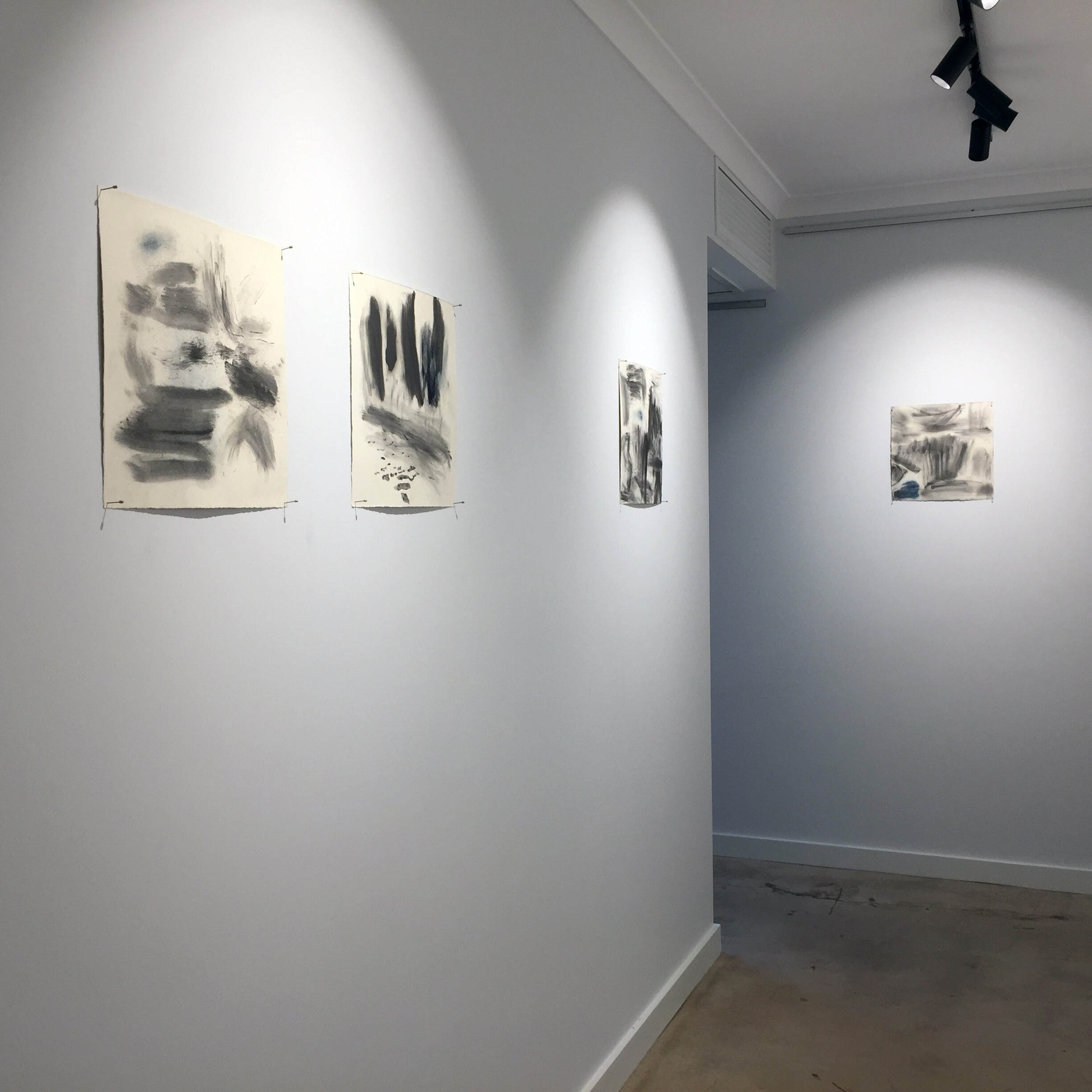 Installation Views by Penny Coss