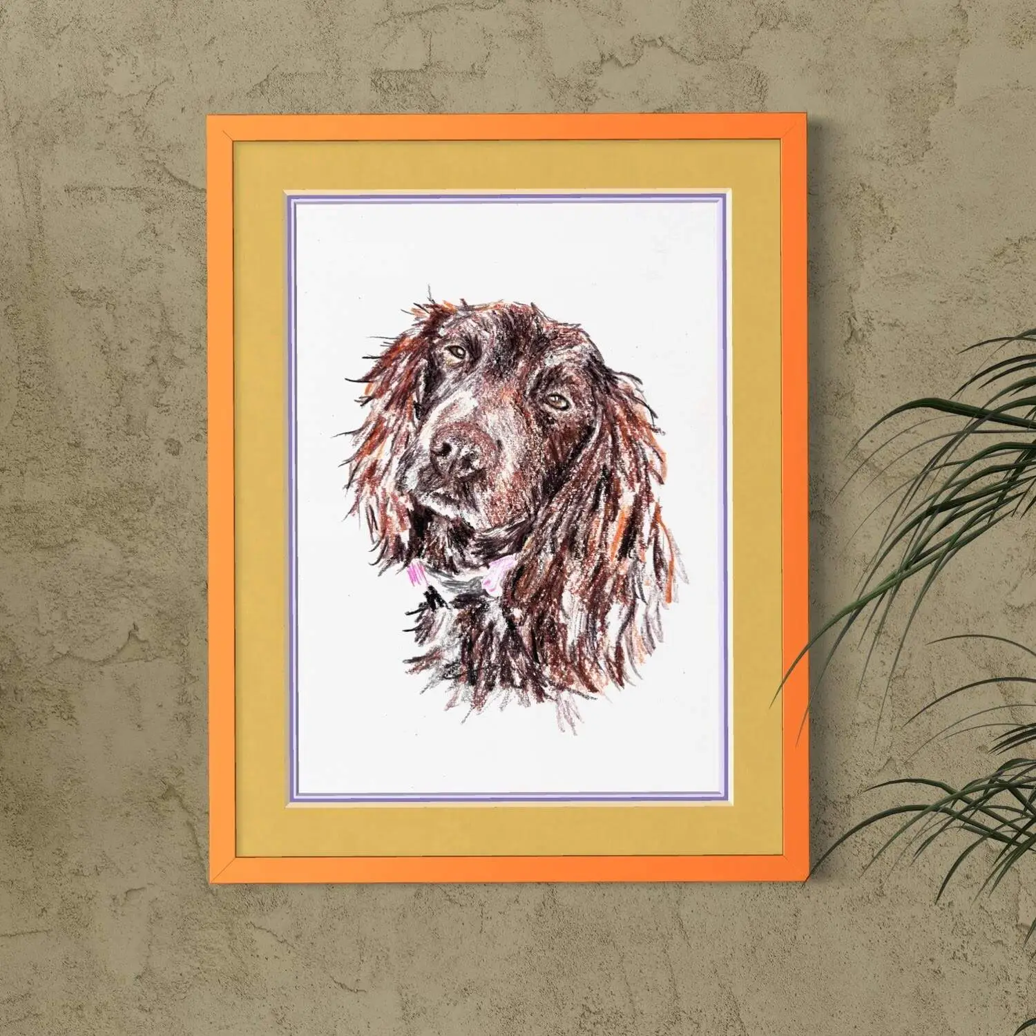 Framed custom cocker spaniel portrait coloured drawing in modern home decor