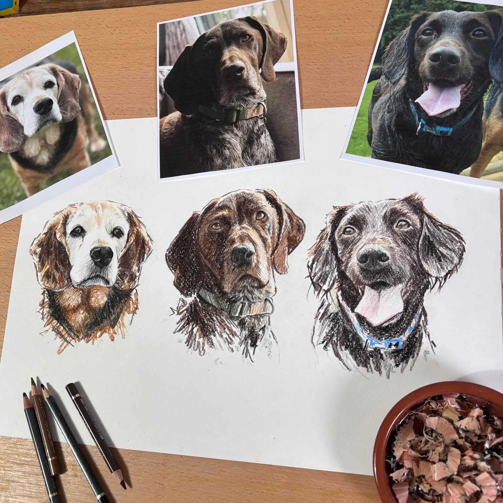 Detailed pet drawing showing three dogs and reference images in coloured pencil texture