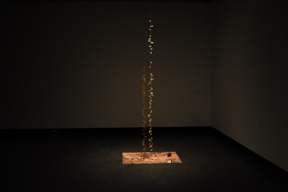 38°21’20’’S 144°16’37’’E by Cara Johnson