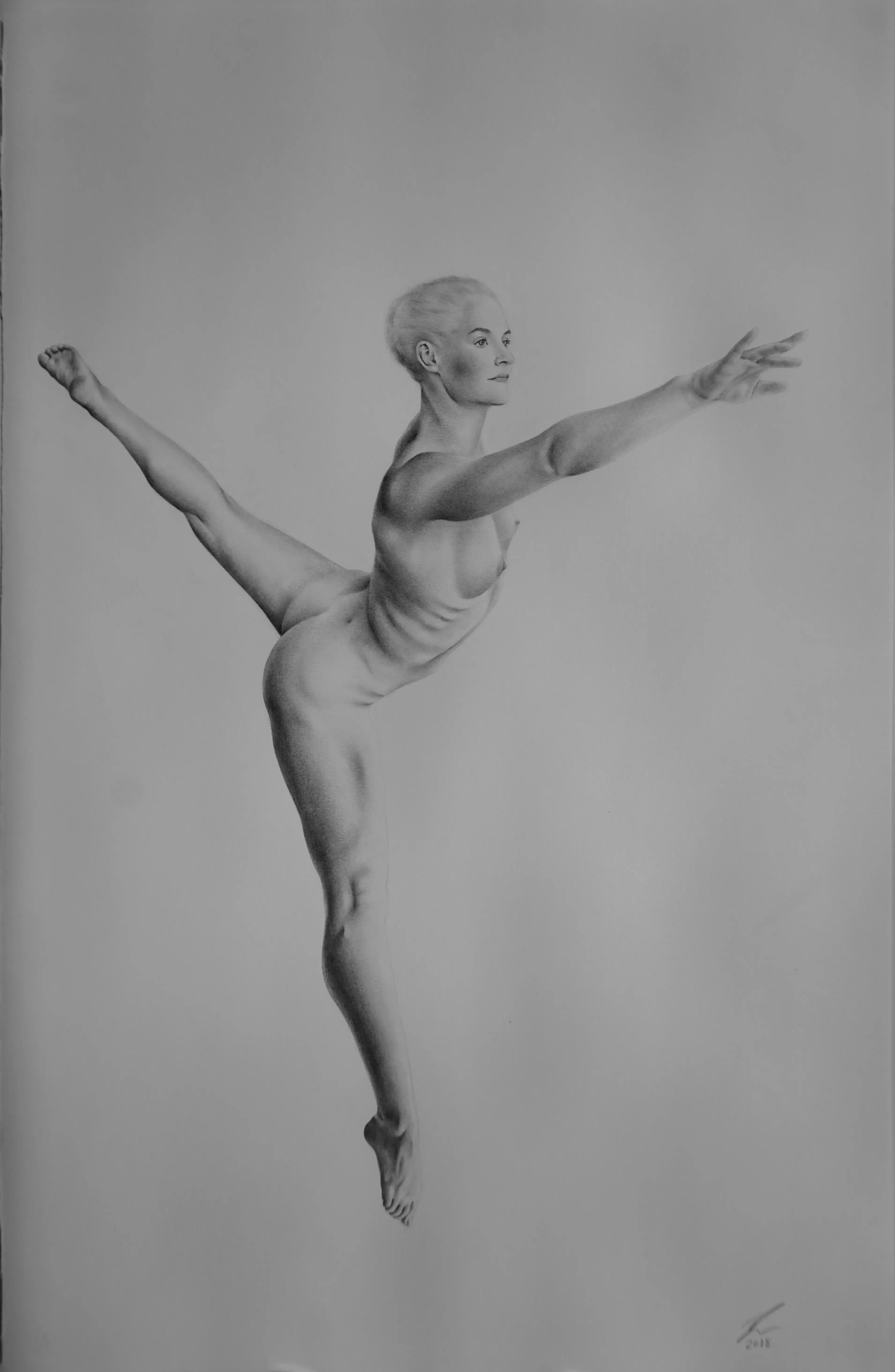 DSC04445