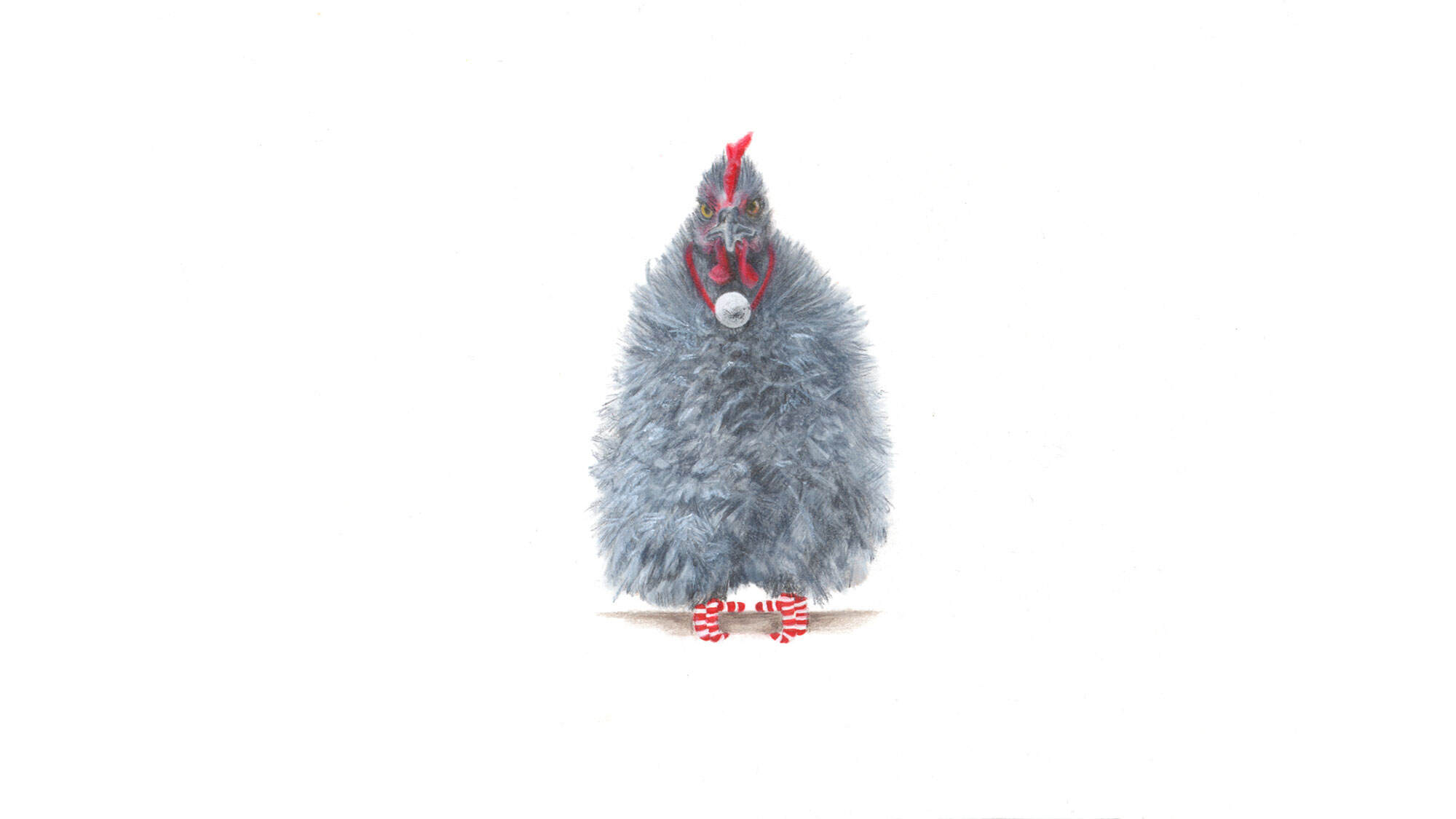 A-Frizzle-shaped-like-a-Christmas-tree-December-2019