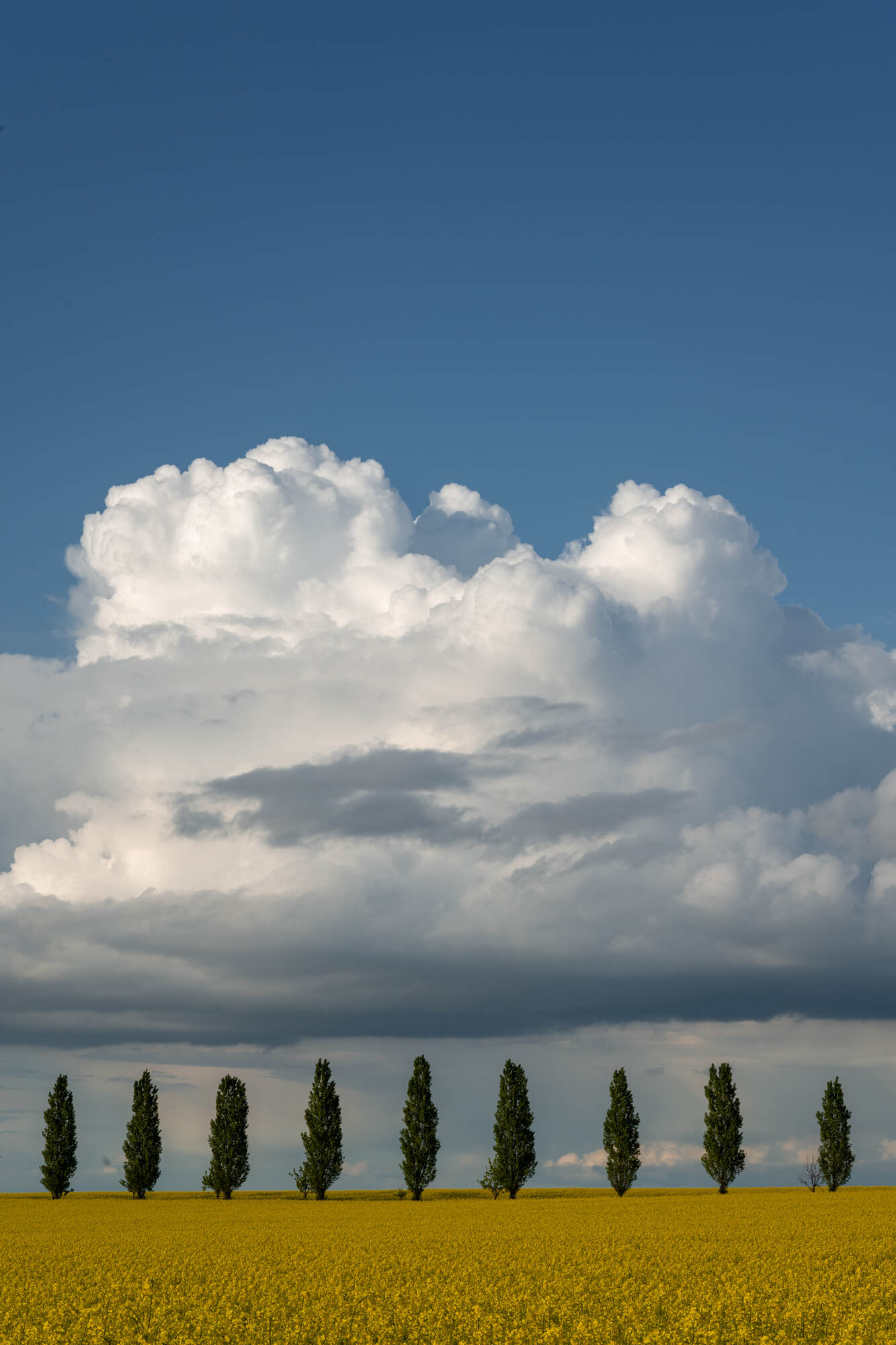 photography-art-print-6197