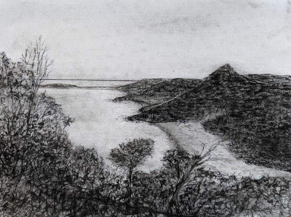 View South From Tomaree Mountain by Ted Dwyer
