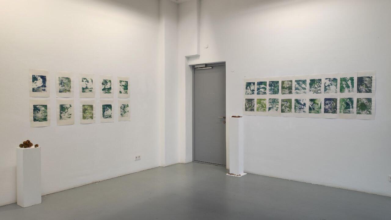 photo_5262541548992269836_y