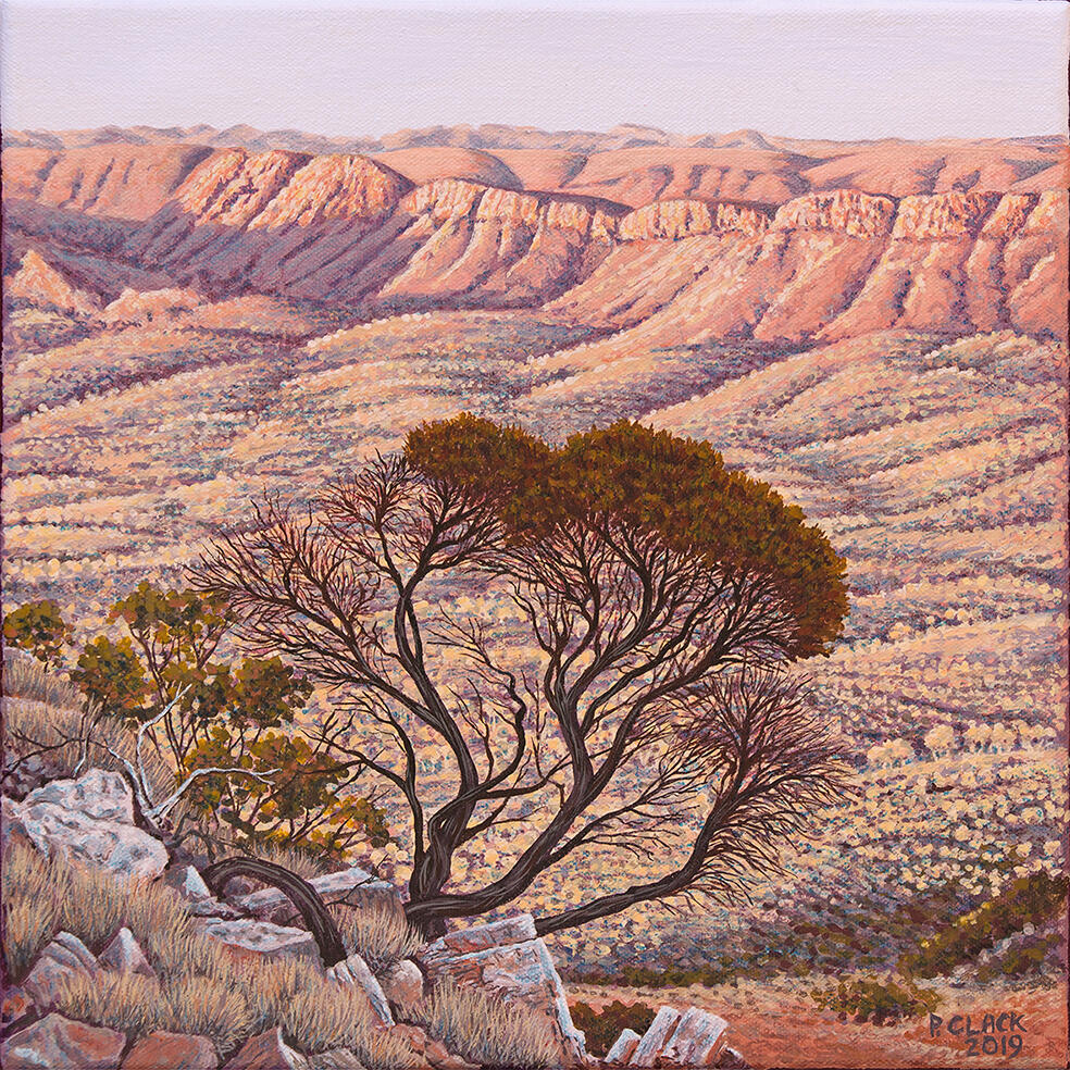 Lightwashed by Pauline Clack