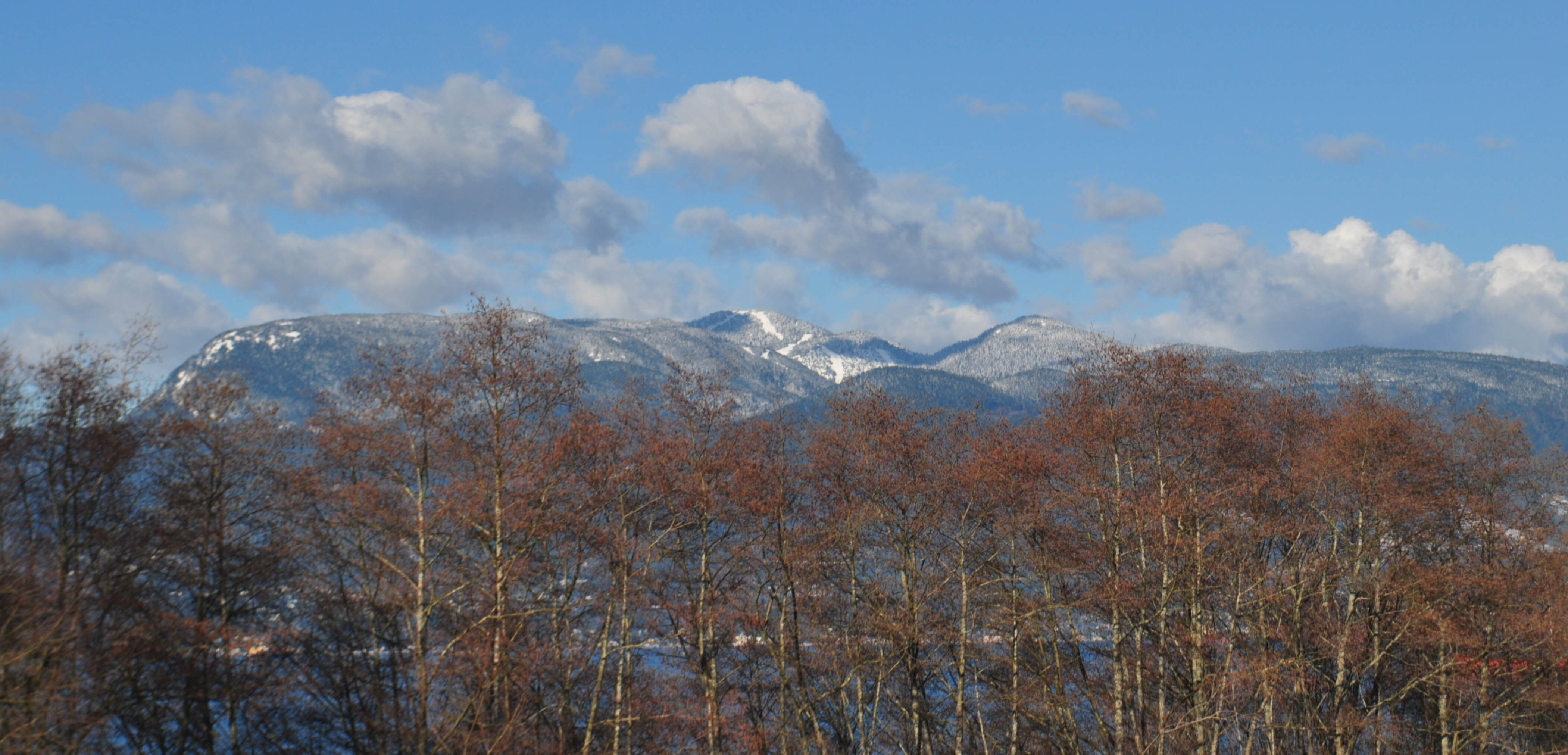 The Rockies