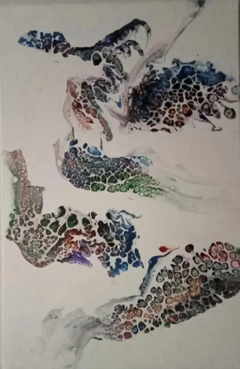 WhatsApp Image 2026-03-03 at 16.30.50