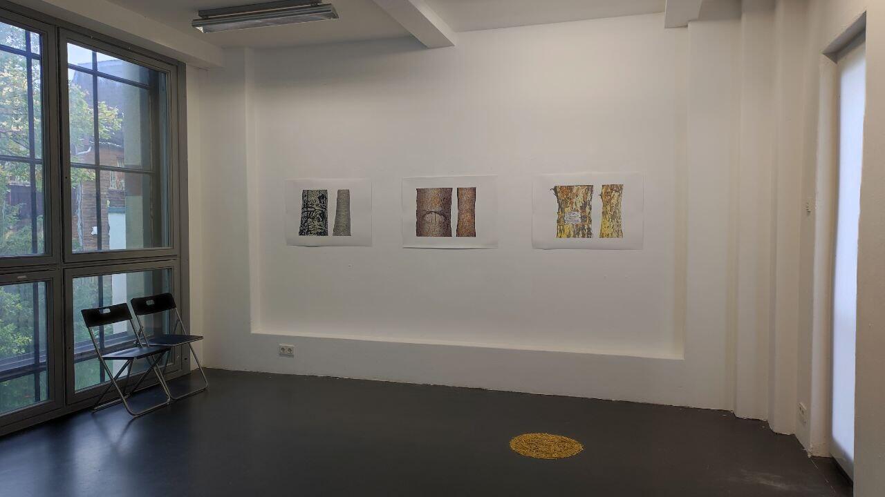 photo_5262541548992269905_y