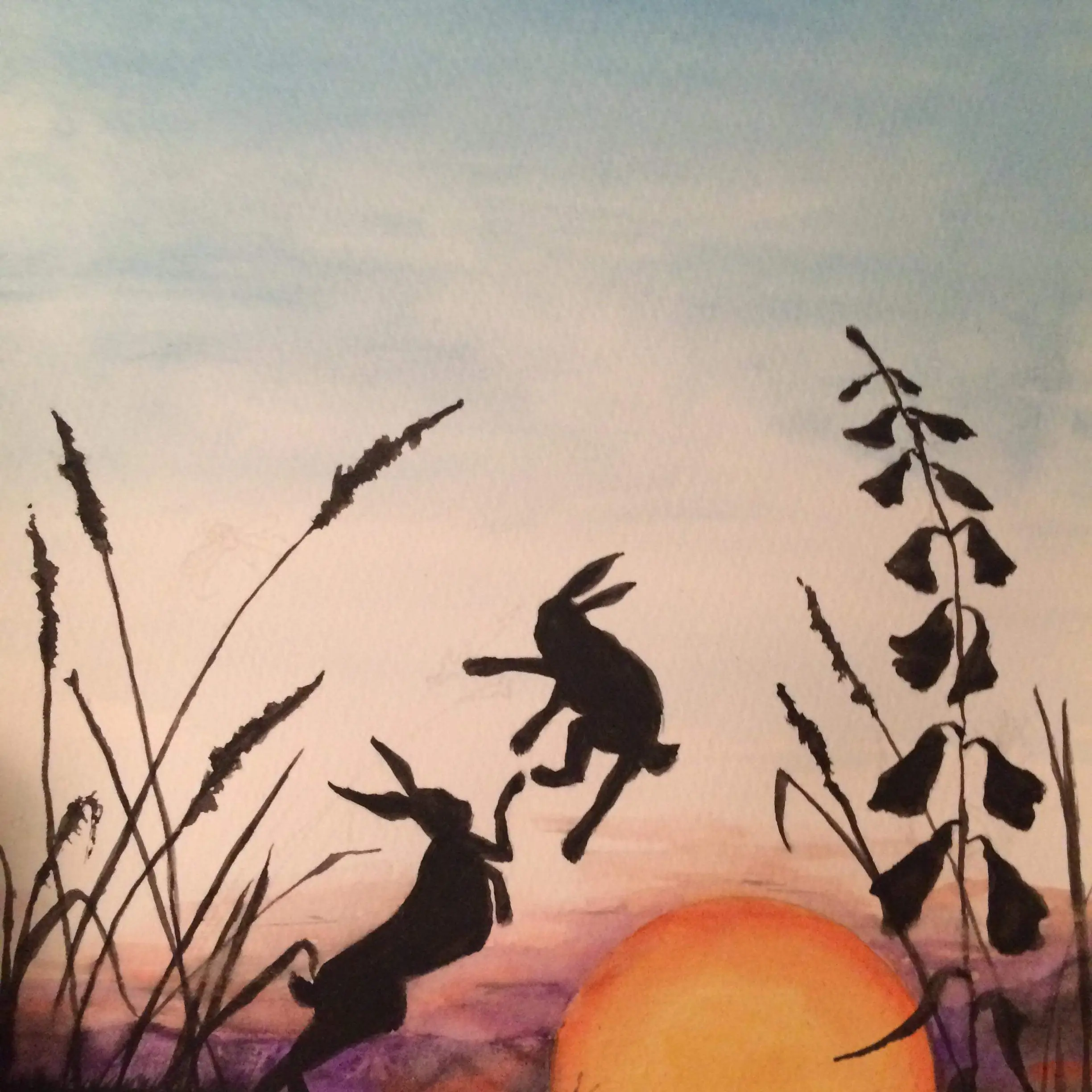 received_2366428576722813