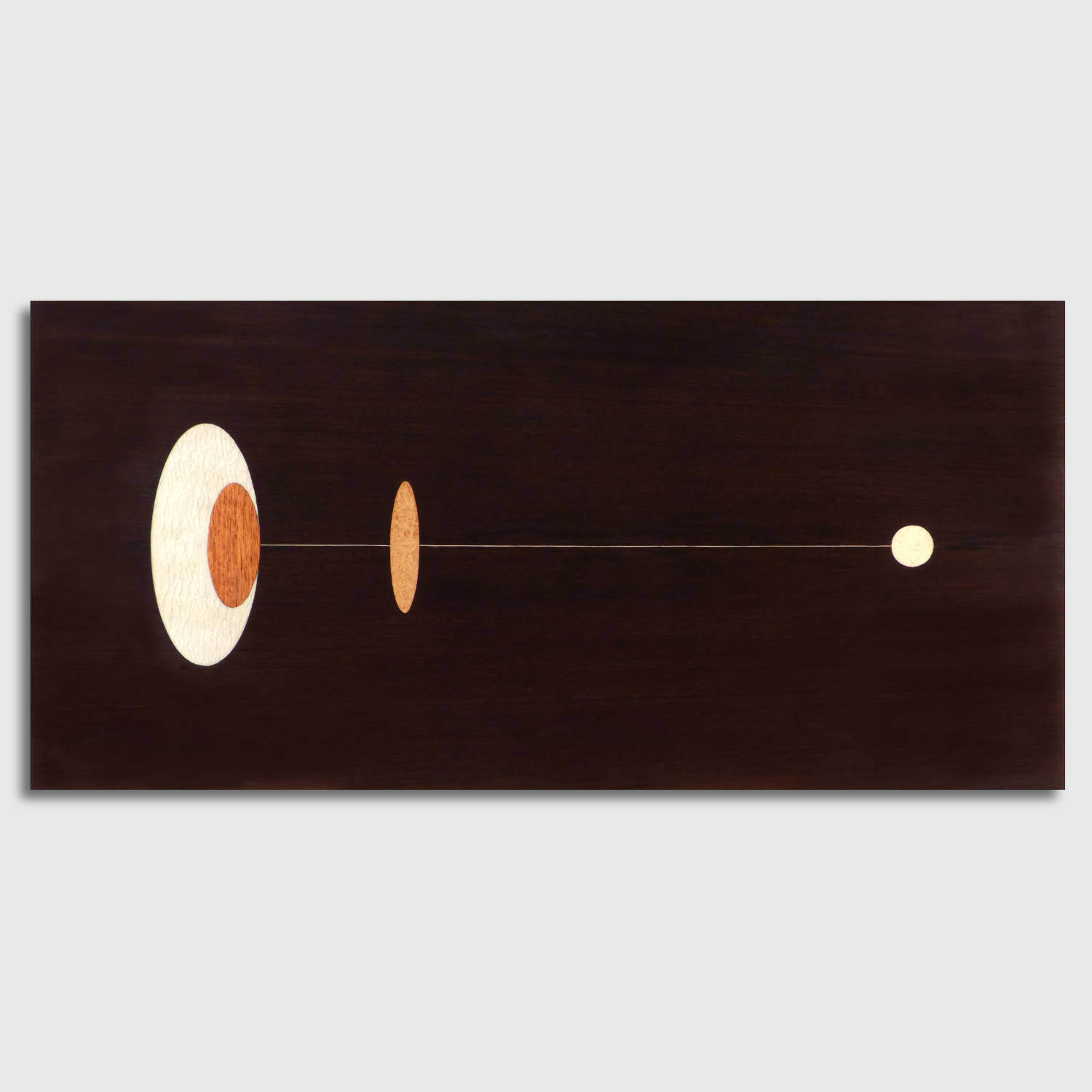 Anamorphic wide web