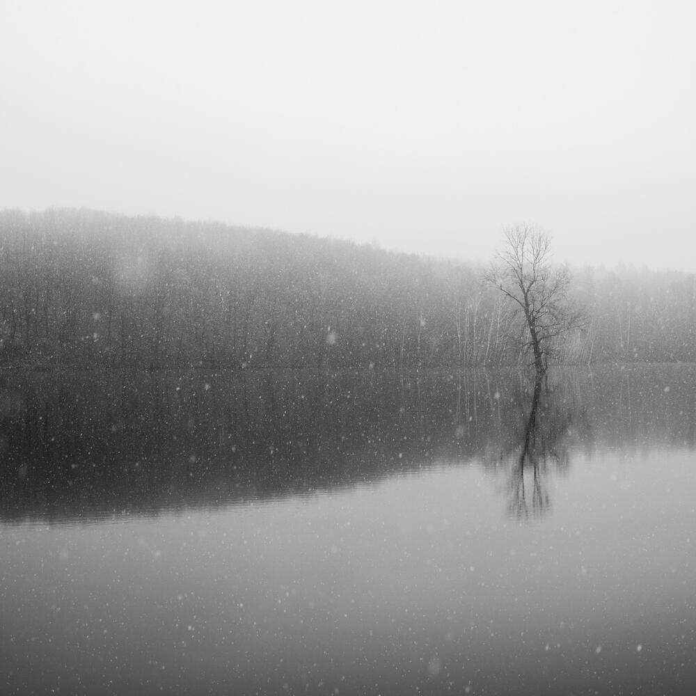photography-print-2940