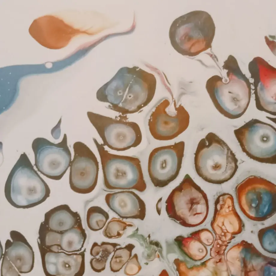 WhatsApp Image 2026-03-03 at 16.57.19