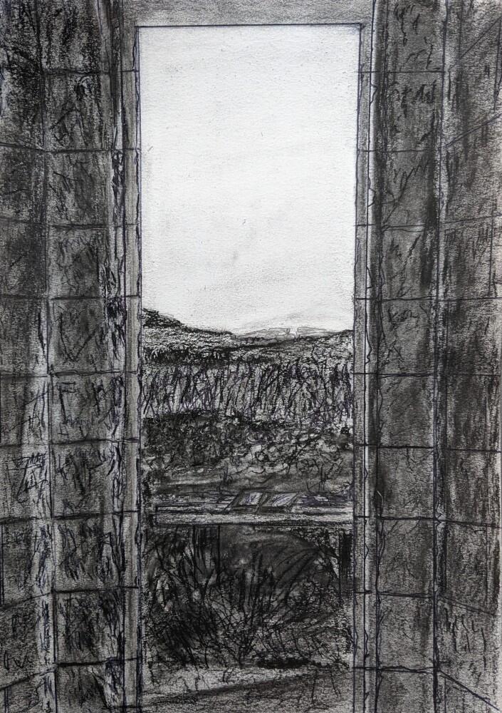 View From Lighthouse Keeper's Cottage, Fingal Island by Ted Dwyer
