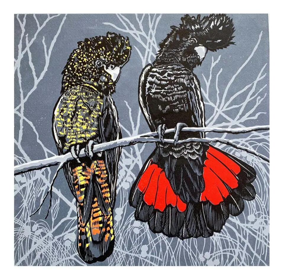 Red-tailed-Black-on-Buloke