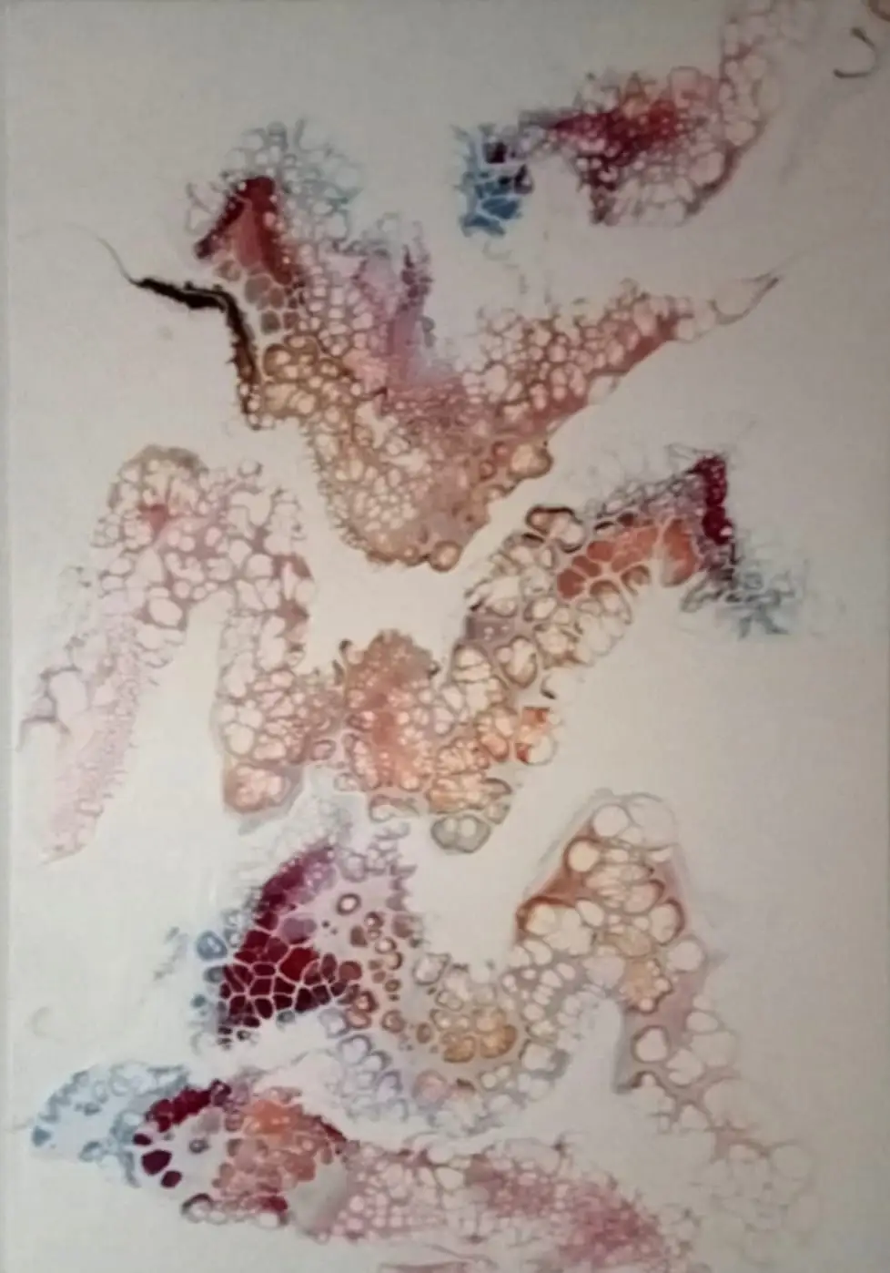 WhatsApp Image 2026-03-03 at 16.29.16